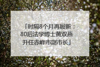 时隔8个月再履新：80后法学博士黄双燕升任赤峰市副市长