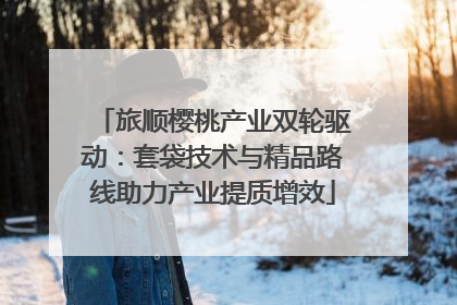 旅顺樱桃产业双轮驱动:套袋技术与精品路线助力产业提质增效