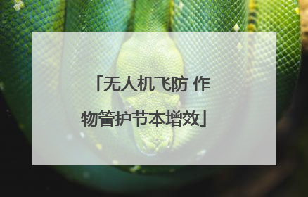 无人机飞防 作物管护节本增效