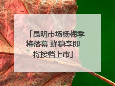 昆明市场杨梅季将落幕 蜂糖李即将接档上市