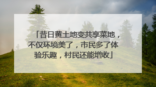昔日黄土地变共享菜地，不仅环境美了，市民多了体验乐趣，村民还能增收