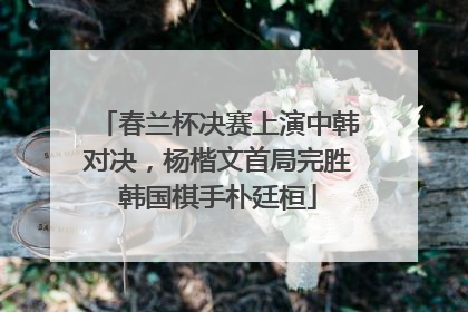 春兰杯决赛上演中韩对决，杨楷文首局完胜韩国棋手朴廷桓