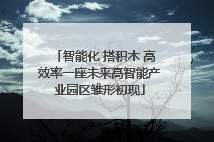 智能化 搭积木 高效率一座未来高智能产业园区雏形初现