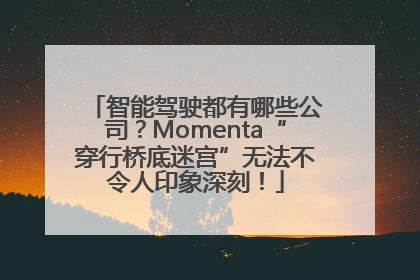 智能驾驶都有哪些公司？Momenta“穿行桥底迷宫”无法不令人印象深刻！
