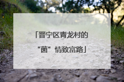 晋宁区青龙村的“菌”情致富路
