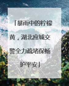 暴雨中的柠檬黄，湖北应城交警全力疏堵保畅护平安
