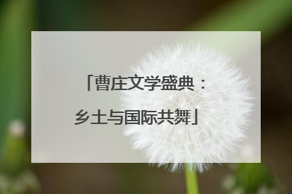 曹庄文学盛典：乡土与国际共舞