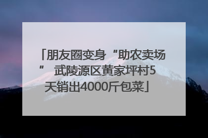 朋友圈变身“助农卖场” 武陵源区黄家坪村5天销出4000斤包菜