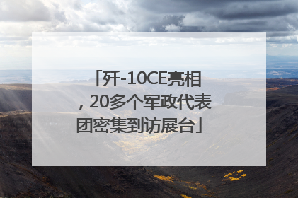 歼-10CE亮相，20多个军政代表团密集到访展台