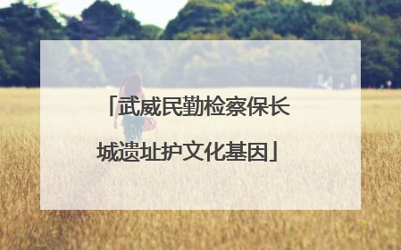 武威民勤检察保长城遗址护文化基因
