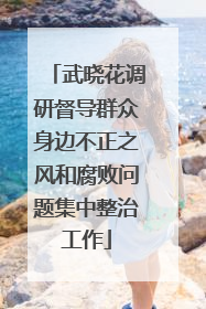 武晓花调研督导群众身边不正之风和腐败问题集中整治工作