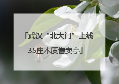 武汉“北大门”上线35座木质售卖亭