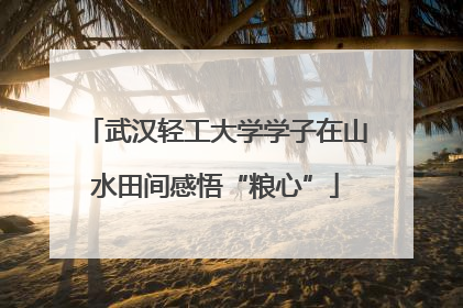 武汉轻工大学学子在山水田间感悟“粮心”