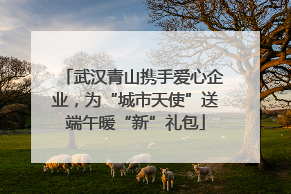 武汉青山携手爱心企业，为“城市天使”送端午暖“新”礼包