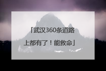 武汉360条道路上都有了！能救命