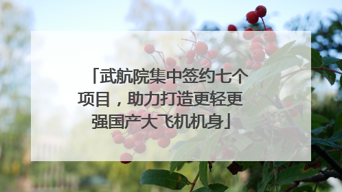 武航院集中签约七个项目，助力打造更轻更强国产大飞机机身