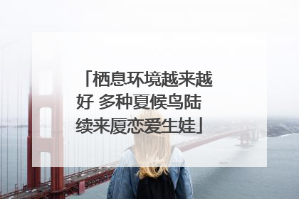 栖息环境越来越好 多种夏候鸟陆续来厦恋爱生娃