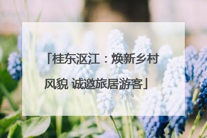 桂东沤江：焕新乡村风貌 诚邀旅居游客