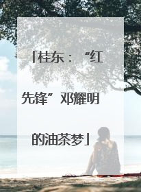 桂东：“红先锋”邓耀明的油茶梦