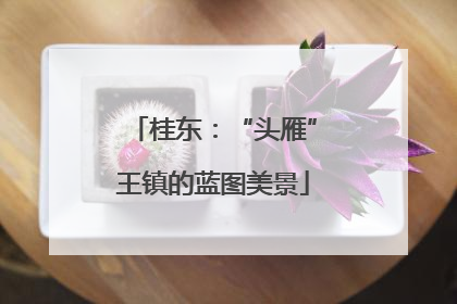 桂东：“头雁”王镇的蓝图美景
