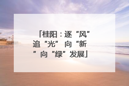 桂阳：逐“风”追“光” 向“新”向“绿”发展