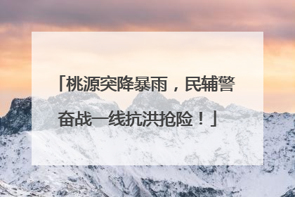 桃源突降暴雨，民辅警奋战一线抗洪抢险！