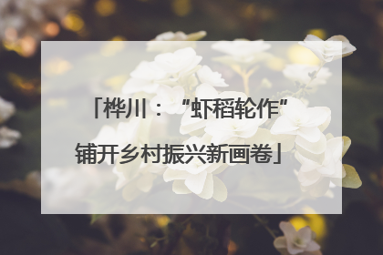 桦川：“虾稻轮作”铺开乡村振兴新画卷