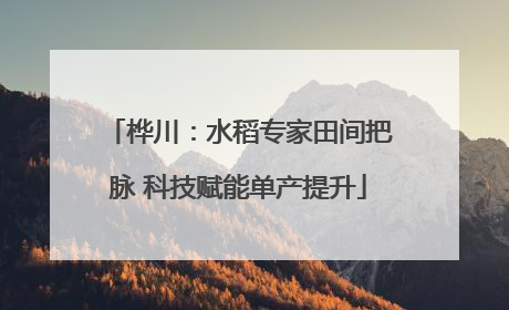 桦川：水稻专家田间把脉 科技赋能单产提升