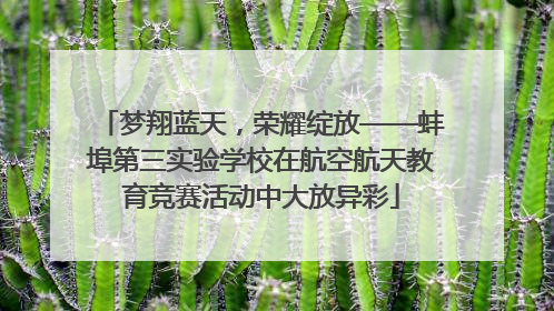 梦翔蓝天，荣耀绽放——蚌埠第三实验学校在航空航天教育竞赛活动中大放异彩