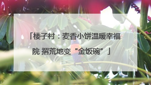 楼子村：麦香小饼温暖幸福院 撂荒地变“金饭碗”