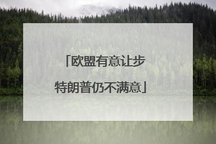 欧盟有意让步 特朗普仍不满意