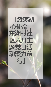 激荡初心使命，东湖村社区六月主题党日活动聚力前行