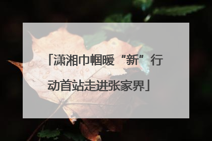 潇湘巾帼暖“新”行动首站走进张家界