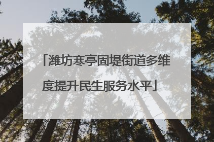 潍坊寒亭固堤街道多维度提升民生服务水平