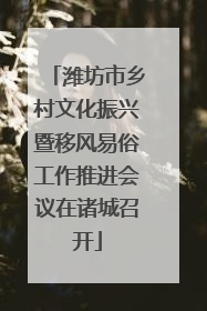 潍坊市乡村文化振兴暨移风易俗工作推进会议在诸城召开