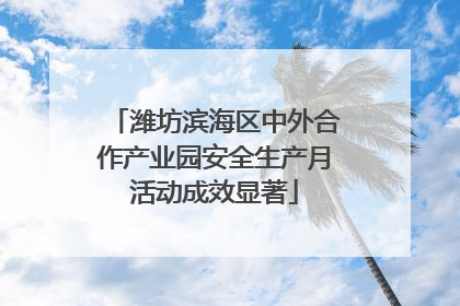 潍坊滨海区中外合作产业园安全生产月活动成效显著