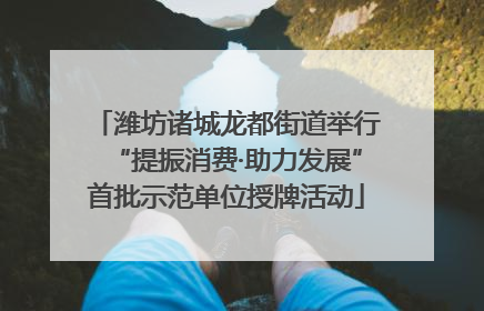 潍坊诸城龙都街道举行“提振消费·助力发展”首批示范单位授牌活动