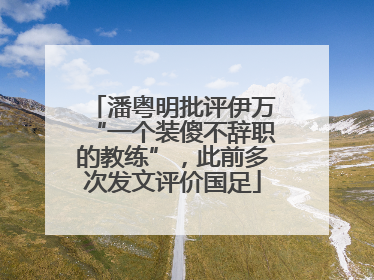 潘粤明批评伊万“一个装傻不辞职的教练”，此前多次发文评价国足