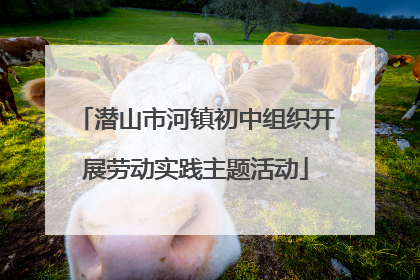 潜山市河镇初中组织开展劳动实践主题活动