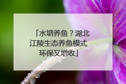 水塘养鱼？湖北江陵生态养鱼模式环保又增收