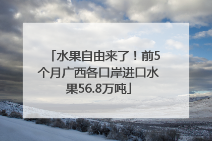 水果自由来了！前5个月广西各口岸进口水果56.8万吨