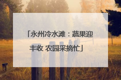 永州冷水滩：蔬果迎丰收 农园采摘忙