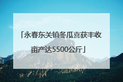 永春东关镇冬瓜喜获丰收 亩产达5500公斤