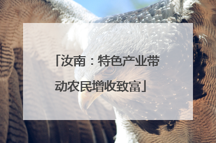 汝南：特色产业带动农民增收致富