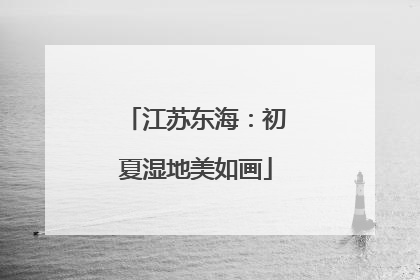 江苏东海：初夏湿地美如画