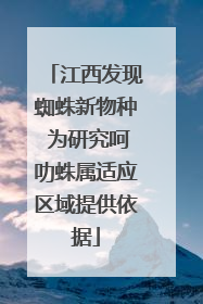 江西发现蜘蛛新物种 为研究呵叻蛛属适应区域提供依据