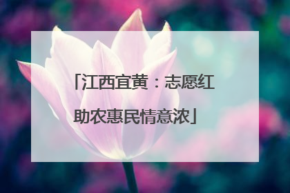 江西宜黄：志愿红助农惠民情意浓