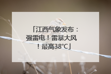 江西气象发布：强雷电！雷暴大风！最高38℃
