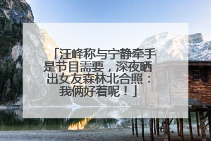 汪峰称与宁静牵手是节目需要，深夜晒出女友森林北合照：我俩好着呢！