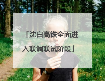 沈白高铁全面进入联调联试阶段